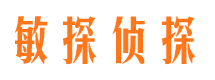 克东市调查公司